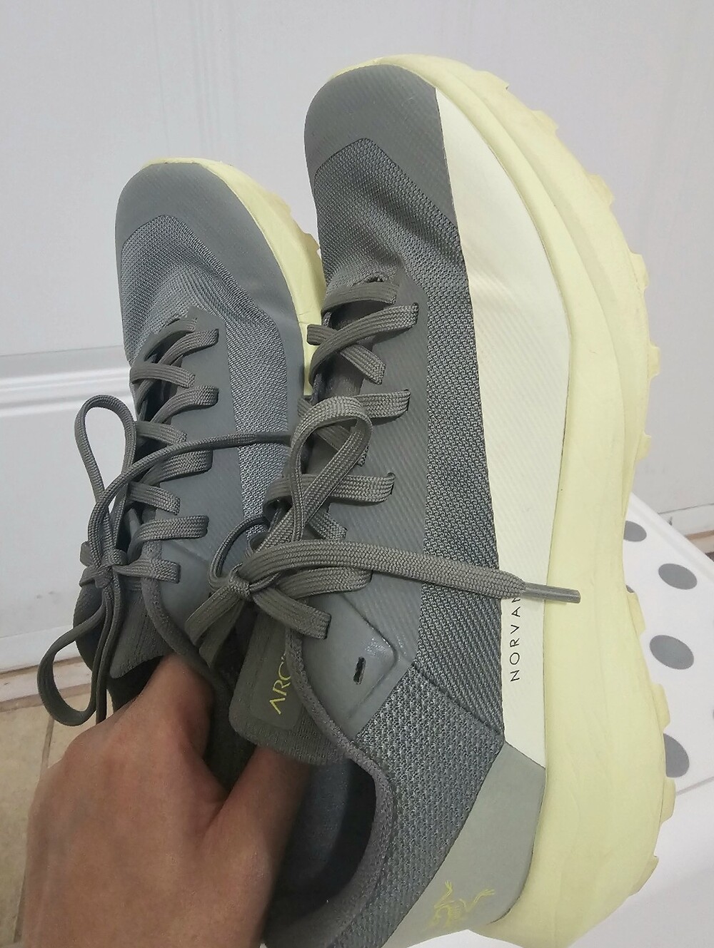 Arc'teryx Norvan LD 4 Trail Running Shoes